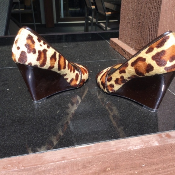 Meet your Posher, Penny - Picture 4 of 4